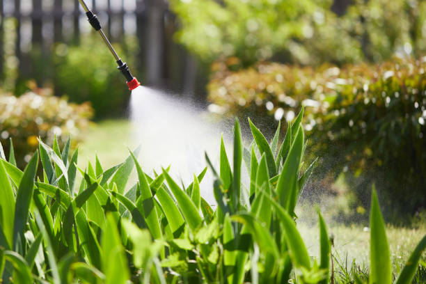 24/7 Emergency Cockroach Control experts in Oak Grove, SC